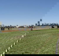 Balranald Races -Derby Day - Accommodation Fremantle