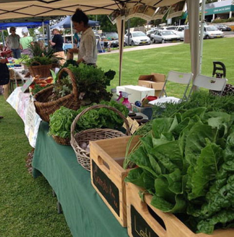 Bermagui Growers Market - Accommodation Fremantle 5