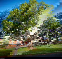 Big Bat Wildlife and Eco Festival - Accommodation Fremantle