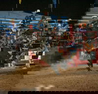 Black Opal Bull and Bronc Ride - Accommodation Fremantle