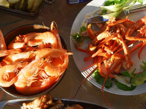 Cape Jaffa Food And Wine Festival - Accommodation Fremantle 0