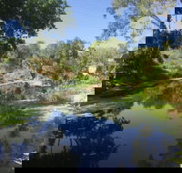 Conservation Volunteers Australia Townsville - Creekwatch - Accommodation Fremantle