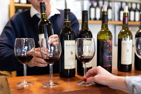Coonawarra Cellar Dwellers - Accommodation Fremantle 2