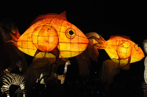 DREAM Festival: Music And Markets Event - Accommodation Fremantle 2