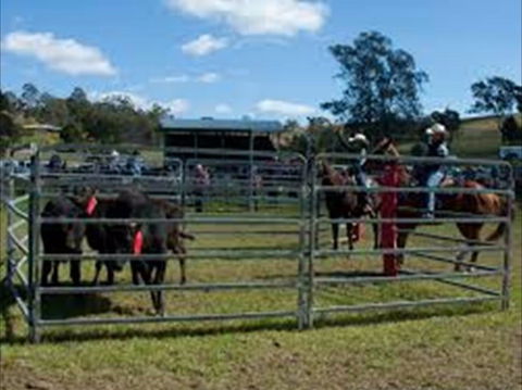 Dungog Team Penning - Accommodation Fremantle 0