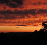 Father's Day at Cottontail Wines - Accommodation Fremantle