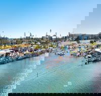 Fred Williams Aquatic Festival - Accommodation Fremantle