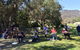Grampians Brushes - thumb 2