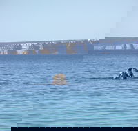 Jervis Bay's Sydney to Hobart Experience - Accommodation Fremantle