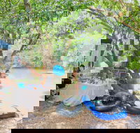 Jungle Love Festival - Accommodation Fremantle
