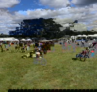Majors Creek Festival - Accommodation Fremantle