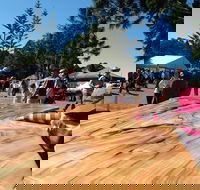 Maleny Wood Expo From Seed to Fine Furniture - Accommodation Fremantle