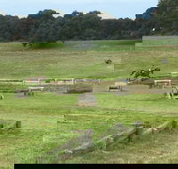 Mount Gambier and District Pony Club Horse Trials 2020 - Accommodation Fremantle