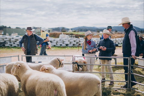 Mudgee Small Farm Field Days - Accommodation Fremantle 0