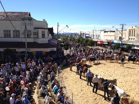 NCMC Casino Beef Week - Accommodation Fremantle 0