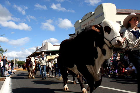 NCMC Casino Beef Week - Accommodation Fremantle 1