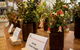 Pomonal Native Flower Show - thumb 1