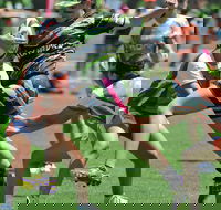 Queensland Oztag All Schools State Finals