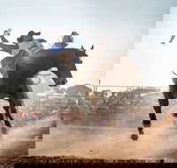 Rodeo by the Sea - Streaky Bay - Accommodation Fremantle