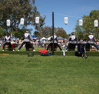 Sakura Matsuri  - Cherry Blossom Festival - in doubt due to Covid-19 - Accommodation Fremantle