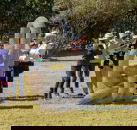 Sculpture for Clyde - Outdoor Exhibition - Accommodation Fremantle