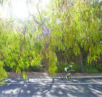 SunSmart FunMan Triathlon - Accommodation Fremantle