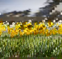 Sunday at Cruden Farm