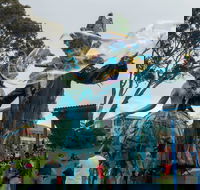 Tulip Festival Wynyard - Accommodation Fremantle