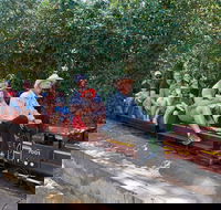 Twilight Run   Willans Hill Miniature Railway - Accommodation Fremantle
