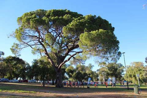 Wagga Parkrun - Accommodation Fremantle 1