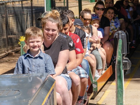 Willans Hill Miniature Railway Rides: Open Days - Accommodation Fremantle 0