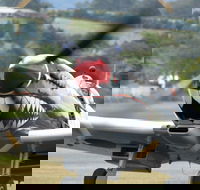 Wings Over Illawarra - Accommodation Fremantle