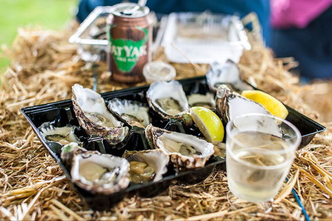 Narooma Oyster Festival - Accommodation Fremantle 1