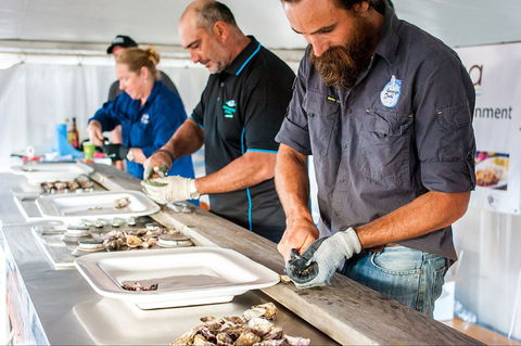 Narooma Oyster Festival - Accommodation Fremantle 2