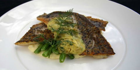 Aquarius Seafood Restaurant - Accommodation Fremantle 2