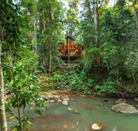 The Canopy Rainforest Treehouses and Wildlife Sanctuary - Accommodation Fremantle