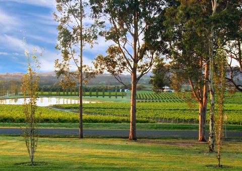 Estate Tuscany - Accommodation Fremantle 6