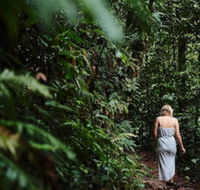 Daintree Ecolodge - Accommodation Fremantle