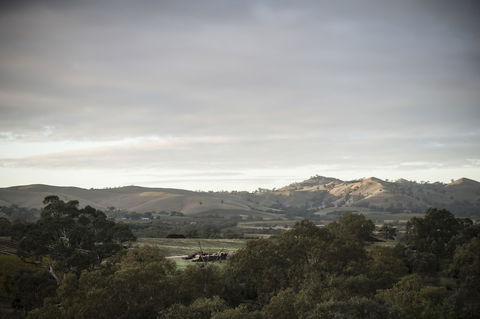 Novotel Barossa Valley Resort - Accommodation Fremantle 1
