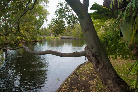 Northlakes Studio - Accommodation Fremantle 4