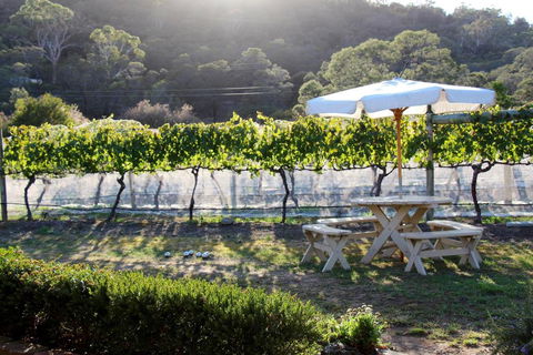 Every Man & His Dog Vineyard - Accommodation Fremantle 6