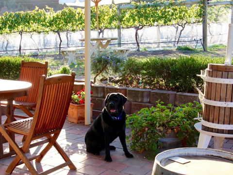 Every Man & His Dog Vineyard - Accommodation Fremantle 7