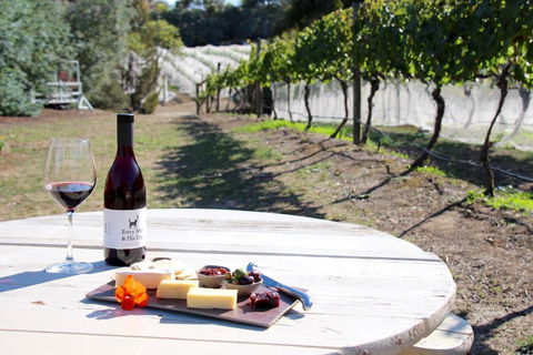 Every Man & His Dog Vineyard - Accommodation Fremantle 3