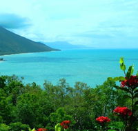 Aquatica Palm Cove - Accommodation Fremantle