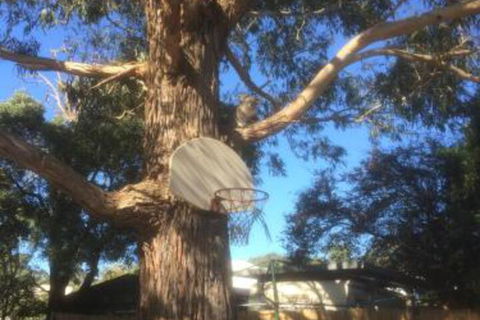 Inverloch Motel - Accommodation Fremantle 5
