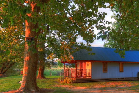 Colac Colac Caravan Park - Accommodation Fremantle 5