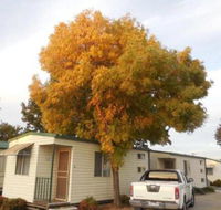 Wodonga Caravan  Cabin Park - Accommodation Fremantle