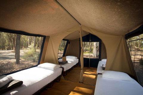 Paradise Country Farmstay - Accommodation Fremantle 6