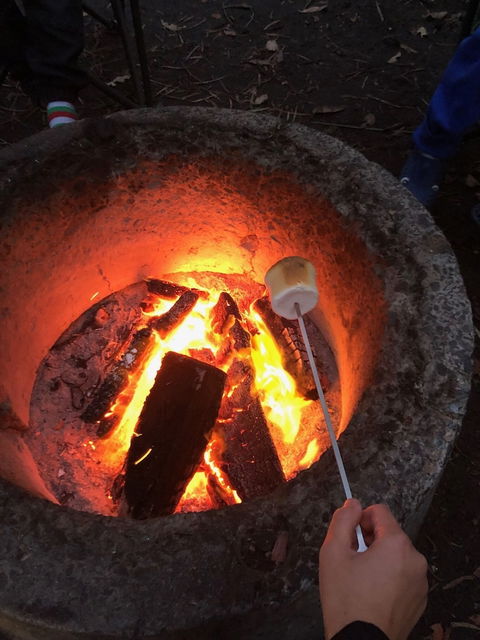 WA Wilderness - Accommodation Fremantle 1