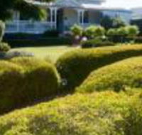 Whiskey Gully Wines - Accommodation Fremantle